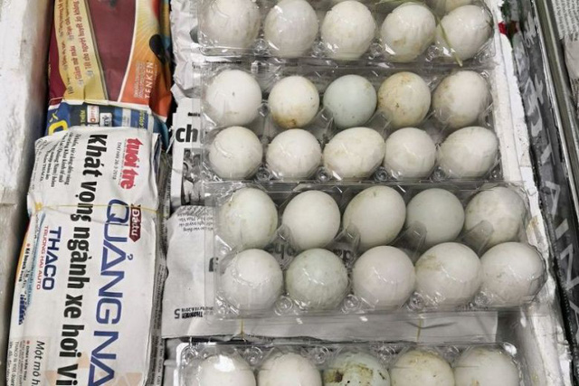 Lê Thị Ung, Singapore,trứng vịt lộn