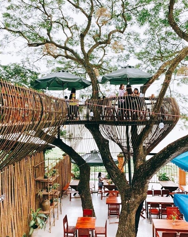 'Sống ảo' trong tiệm cafe trên cây ở Cần Thơ
