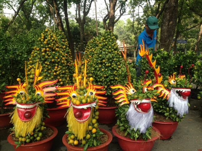 San dua hau canh, buoi ky da 'doc, la' chung tet